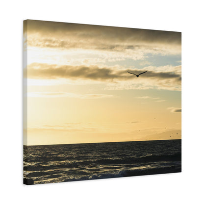 Venice Beach Sunset Matte Canvas Wall Print - Saltwater Bodega